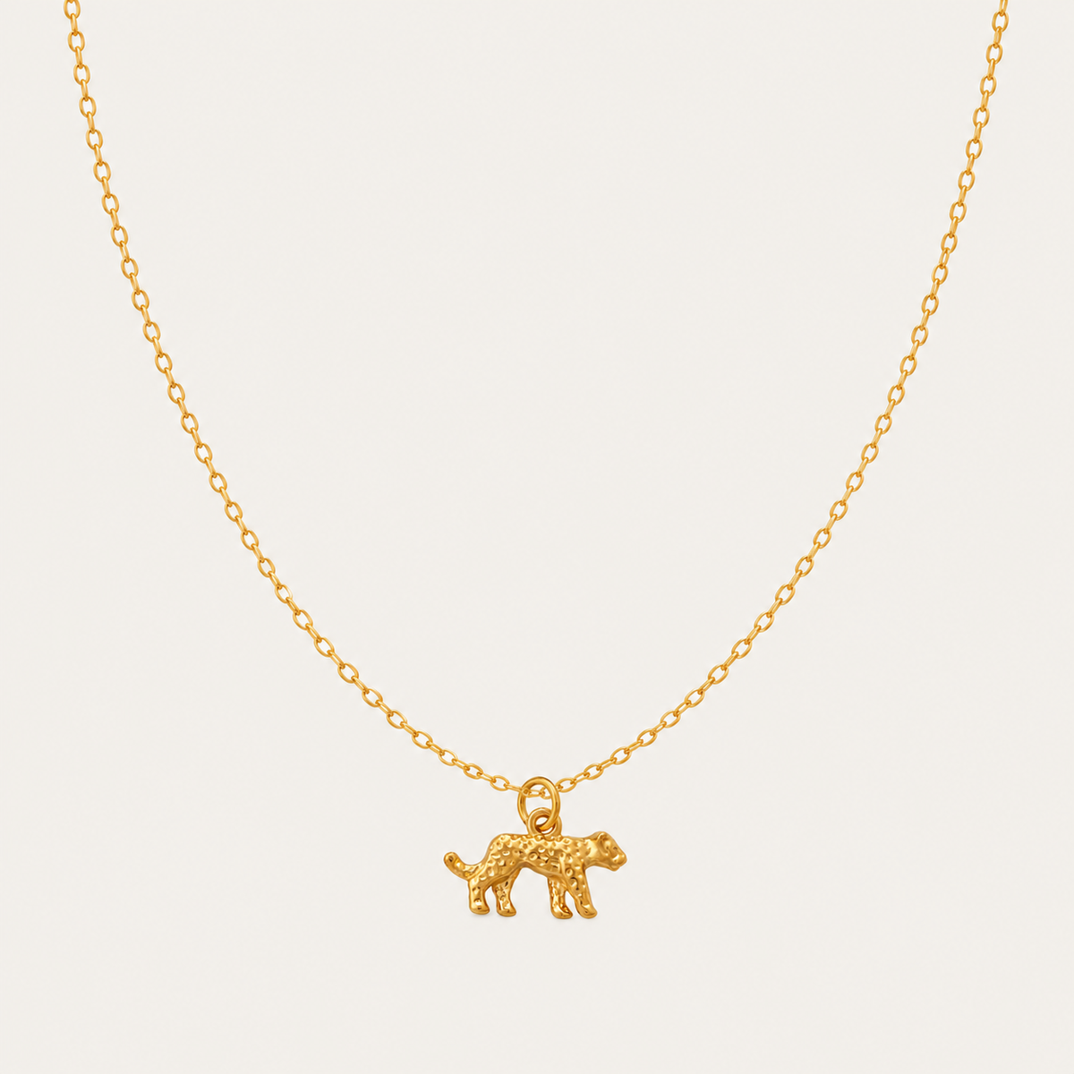 Leopard CHARM