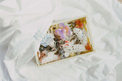 Coquette HAIR CLIP shown packed into a gift box alongside an assortment of other differently shaped hair clips.