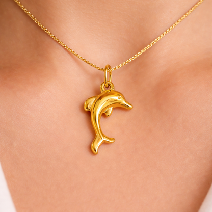 Dolphin CHARM