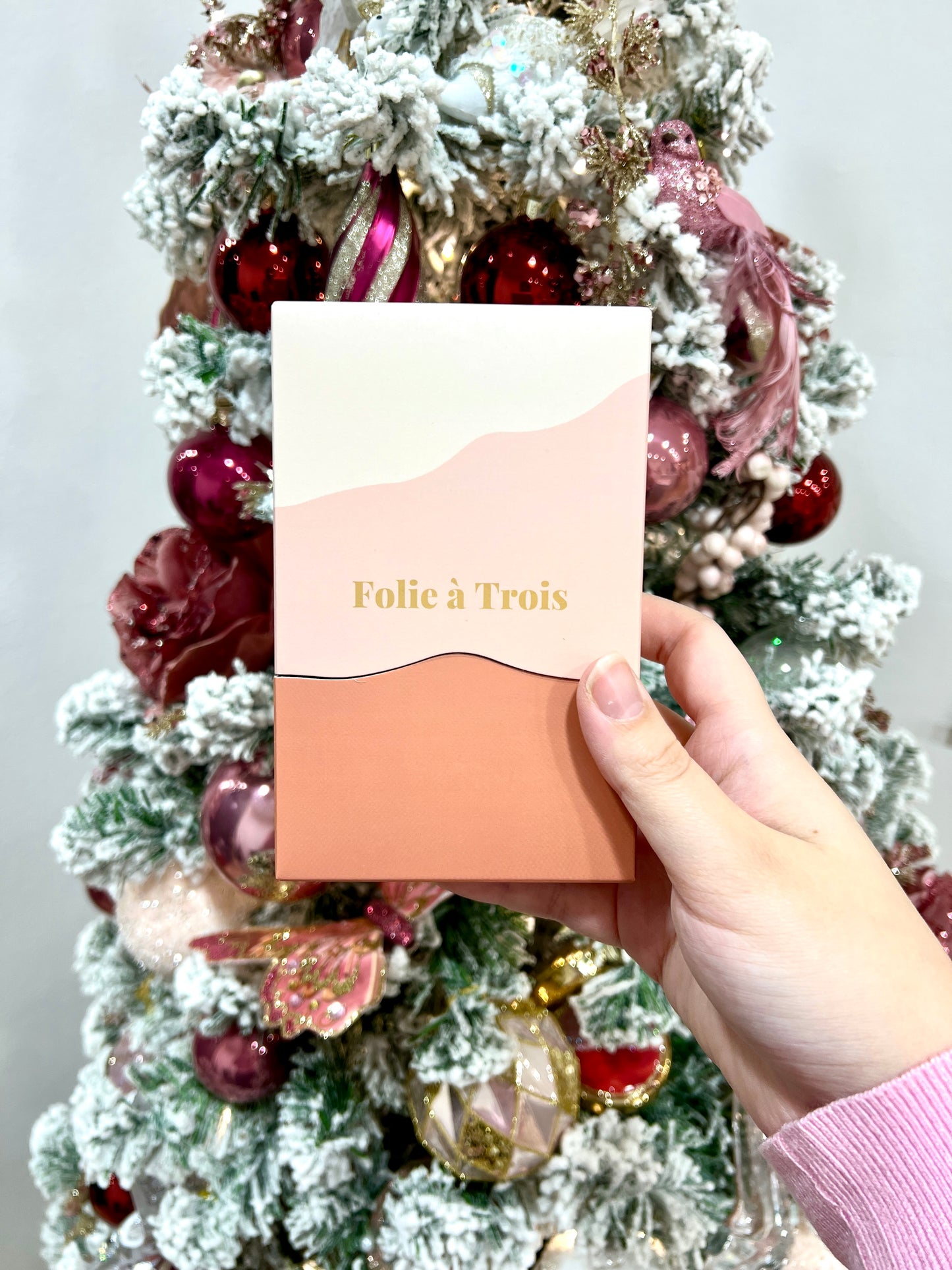 Hand holding a closed rust and cream Folie à Trois gift box in front of a decorated Christmas tree.