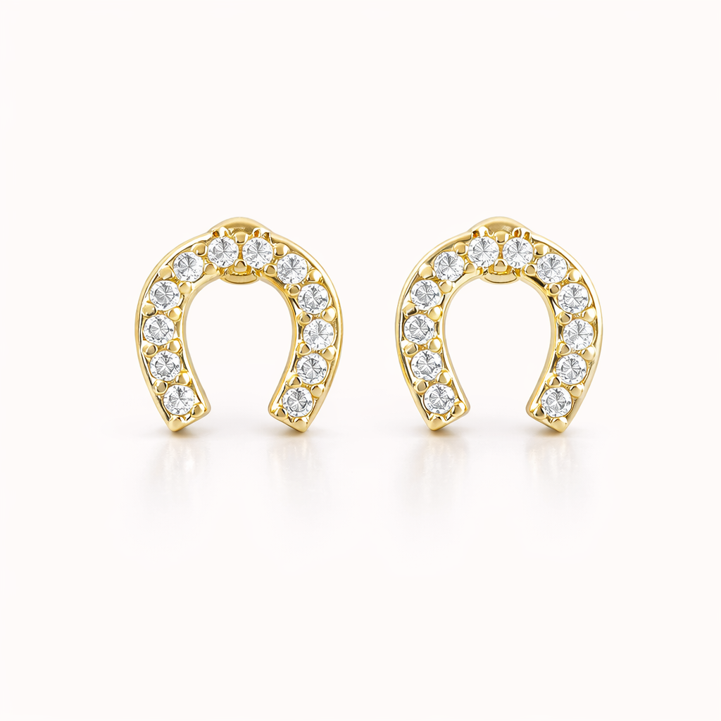 Horseshoe EARRINGS