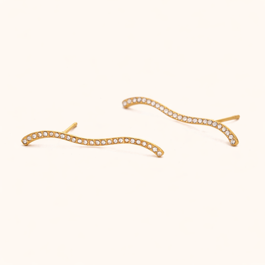 Loud & Lovely EARRINGS