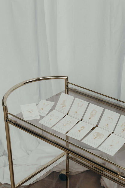 Twelve gold zodiac constellation stud earring cards laid out on a mirrored bar cart against a white curtain backdrop.