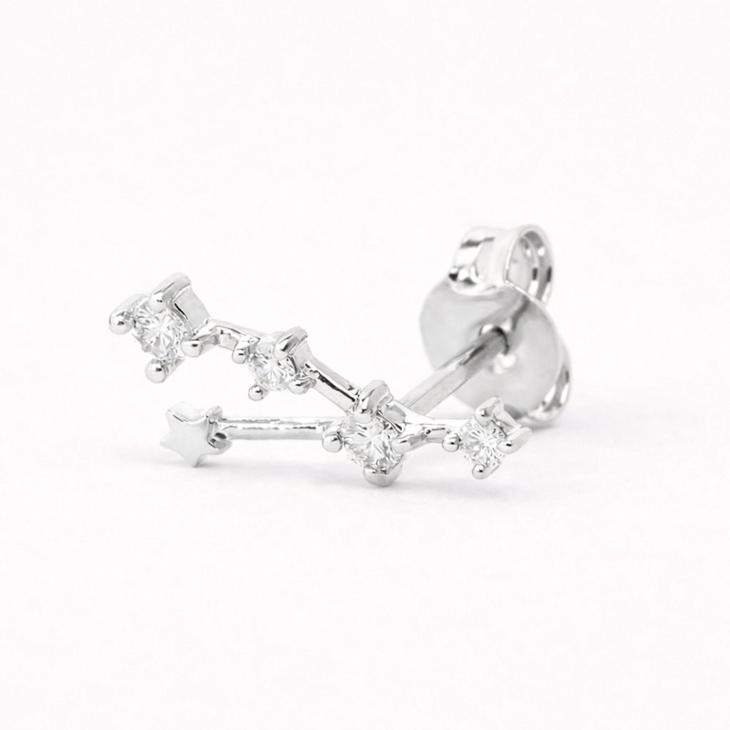 Zodiac Stud BOUCLES D'OREILLES 