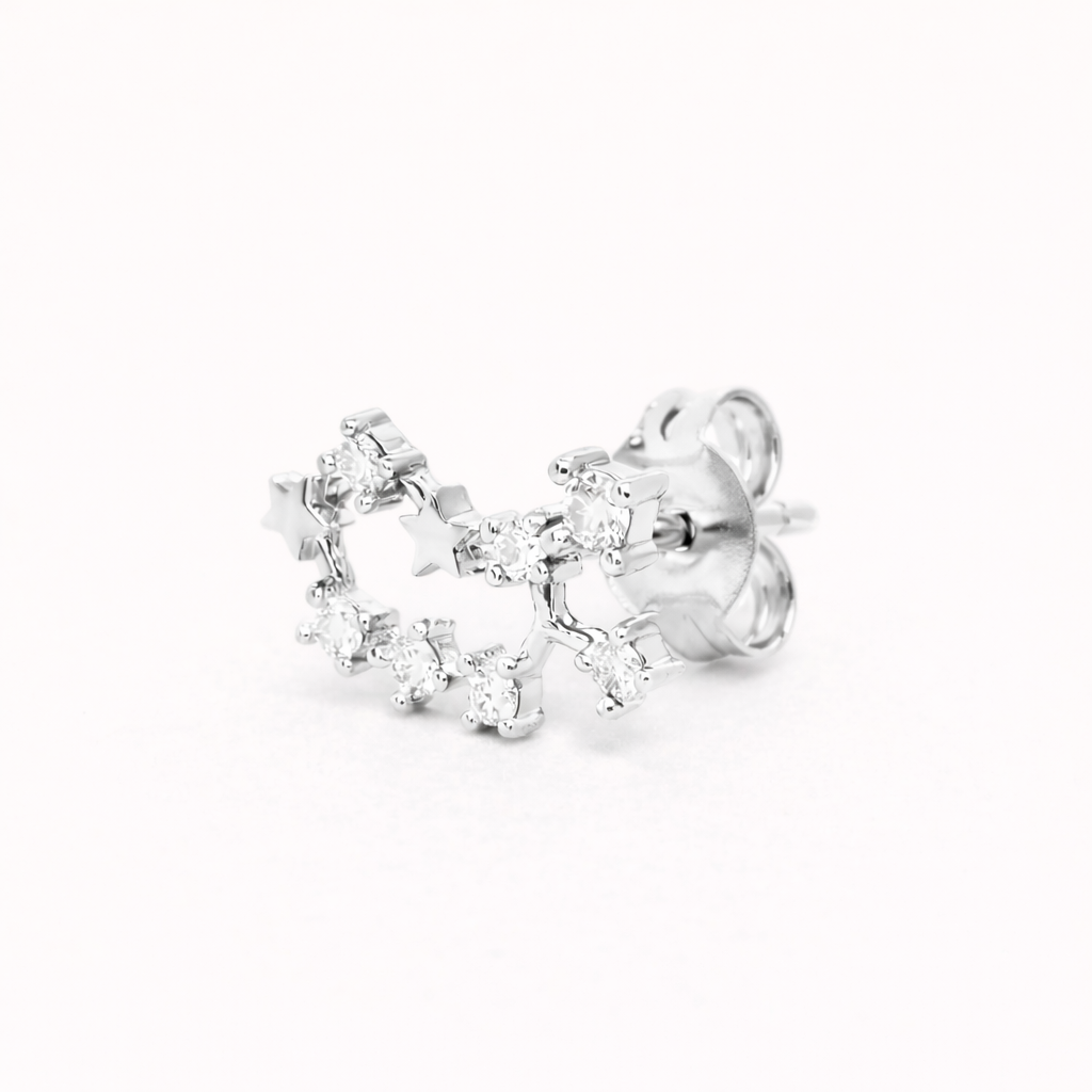 Zodiac Stud BOUCLES D'OREILLES 