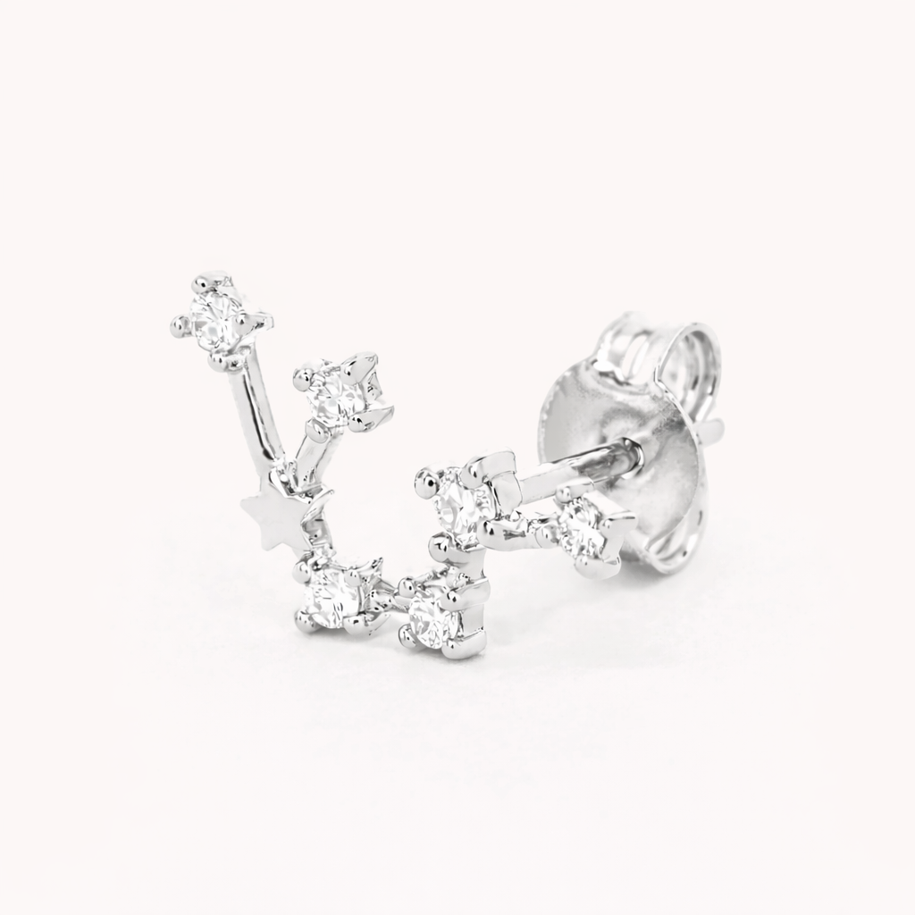 Zodiac Stud BOUCLES D'OREILLES 