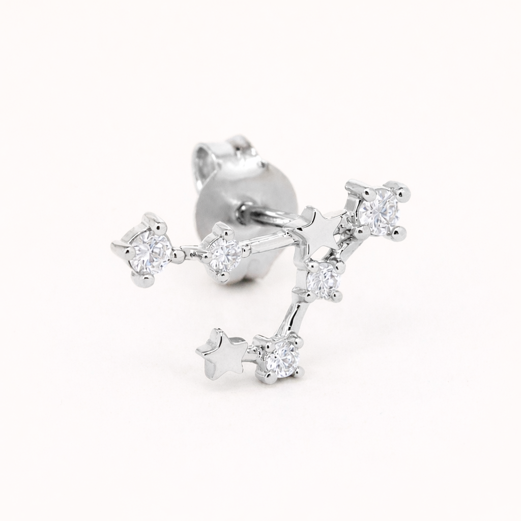 Zodiac Stud BOUCLES D'OREILLES 
