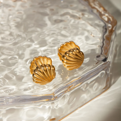 Sea Shell BOUCLES D'OREILLES