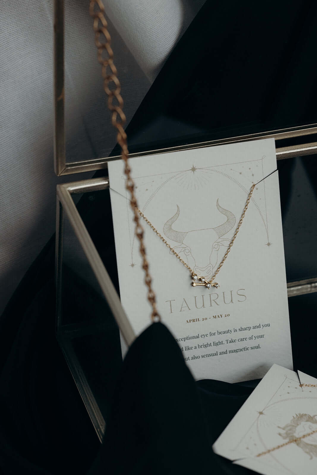 Zodiac Necklace 12-pack Folie à Trois